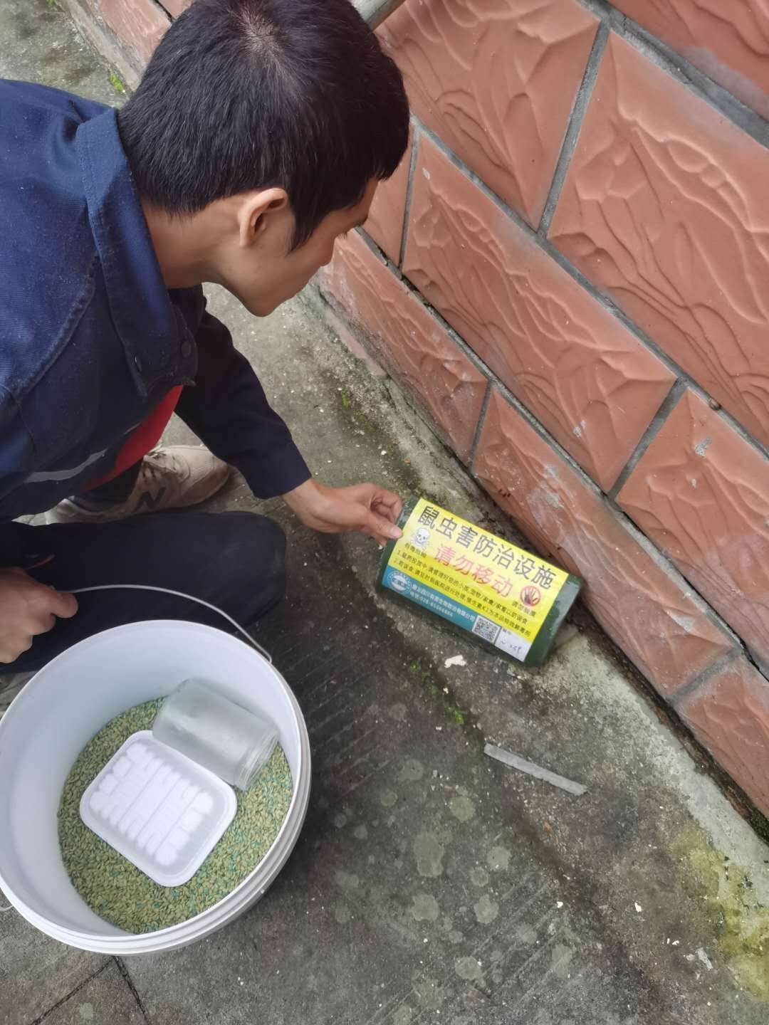 乐山除四害